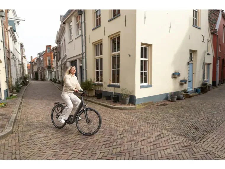 Trek District+ 6 City E - Bike (Farbe Alpine Blue) (Reichweite Bis 140km) ( - body - fitness