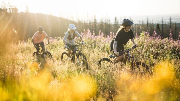 Neuron CF 7 E - Bikes - body - fitness