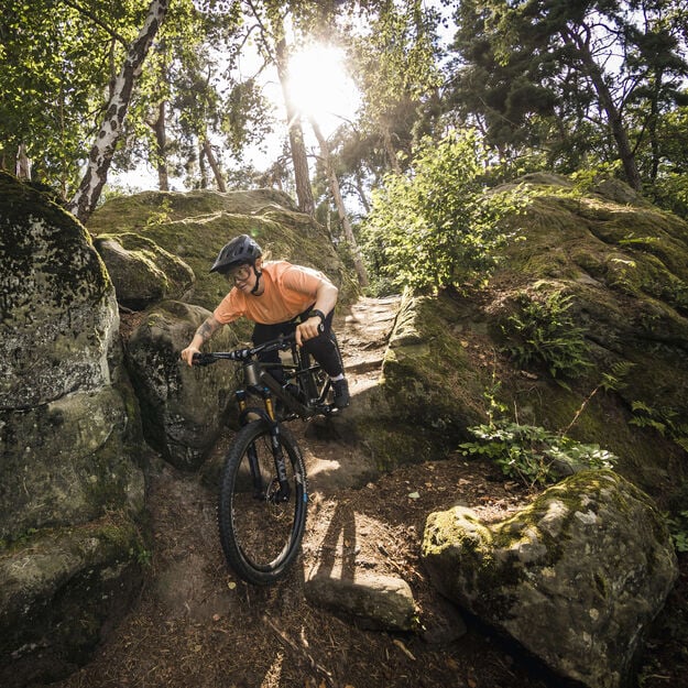 Neuron CF 7 E - Bikes - body - fitness