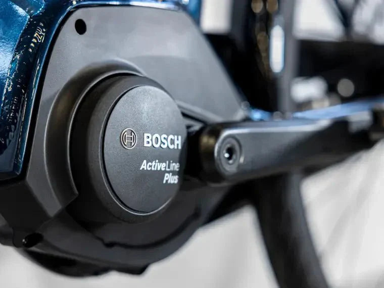 Trek District+ 2 Lowstep City E - Bike - body - fitness