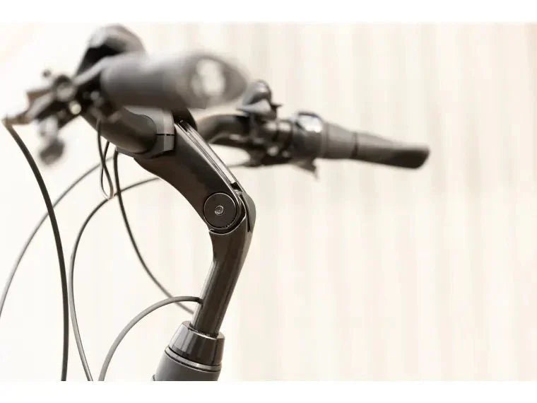 Trek District+ 6 City E - Bike (Farbe Alpine Blue) (Reichweite Bis 140km) ( - body - fitness