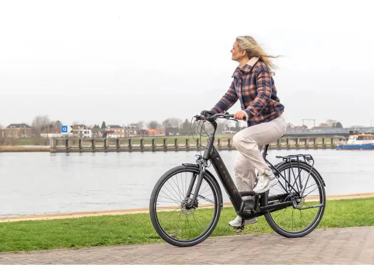 Trek District+ 6 City E - Bike (Farbe Alpine Blue) (Reichweite Bis 140km) ( - body - fitness