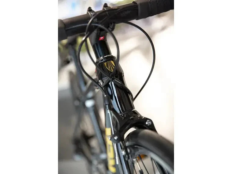 Trek Domane AL 2 - body - fitness